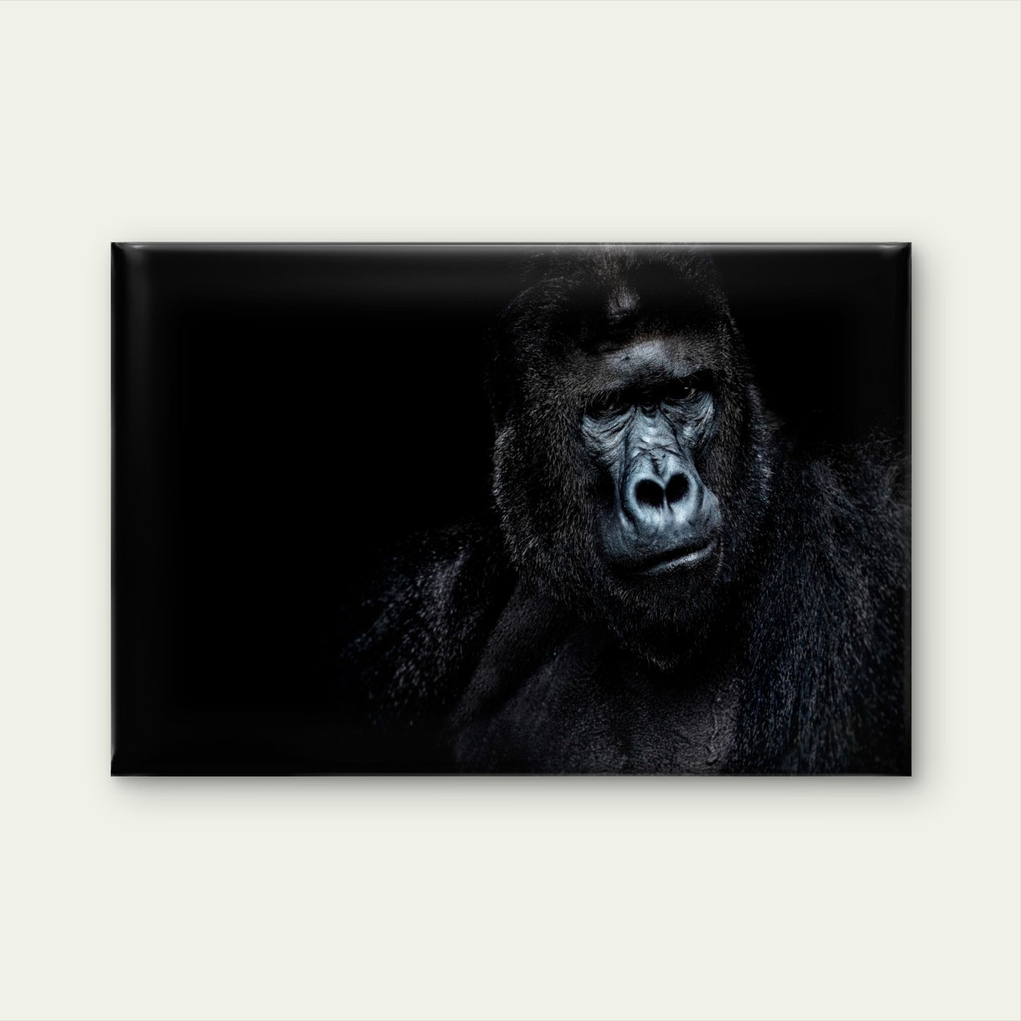 Black Gorilla Portrait Dark Background Wall Art Decor 100% Australian Made