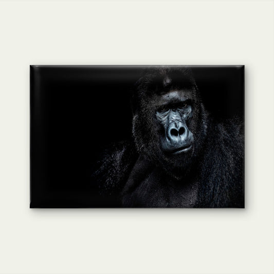 Black Gorilla Portrait Dark Background Wall Art Decor 100% Australian Made