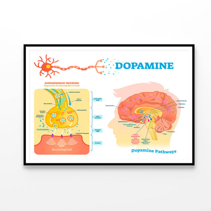 Dopamine Vector Illustration Home Decor Premium Quality Poster Print Choose Your Sizes