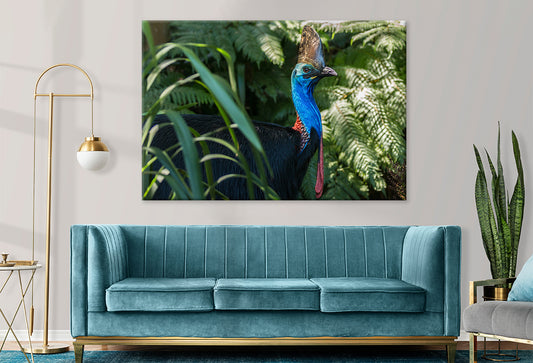 Daintree Rainforest Queensland Cassowary Wildlife Wall Art Decor 100% Australian Made