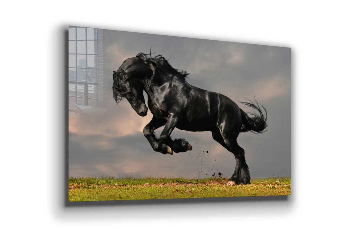 Black Horse Running UV Direct Aluminum Print Australian Made Quality