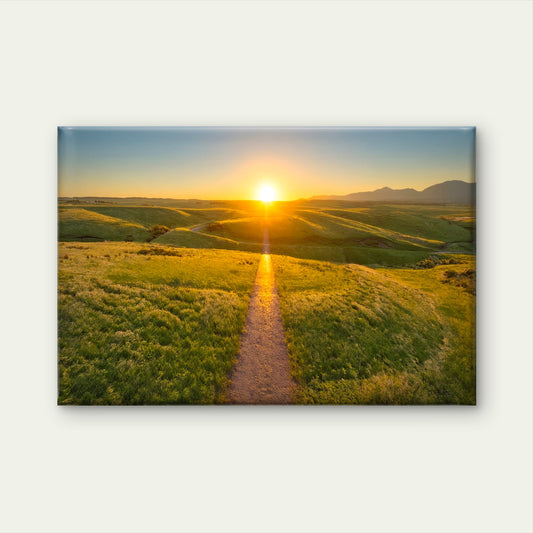 Sunset Pathway Running Through Rolling Green Hills Wall Art Decor 100% Australian Made - Bella Home Decor
