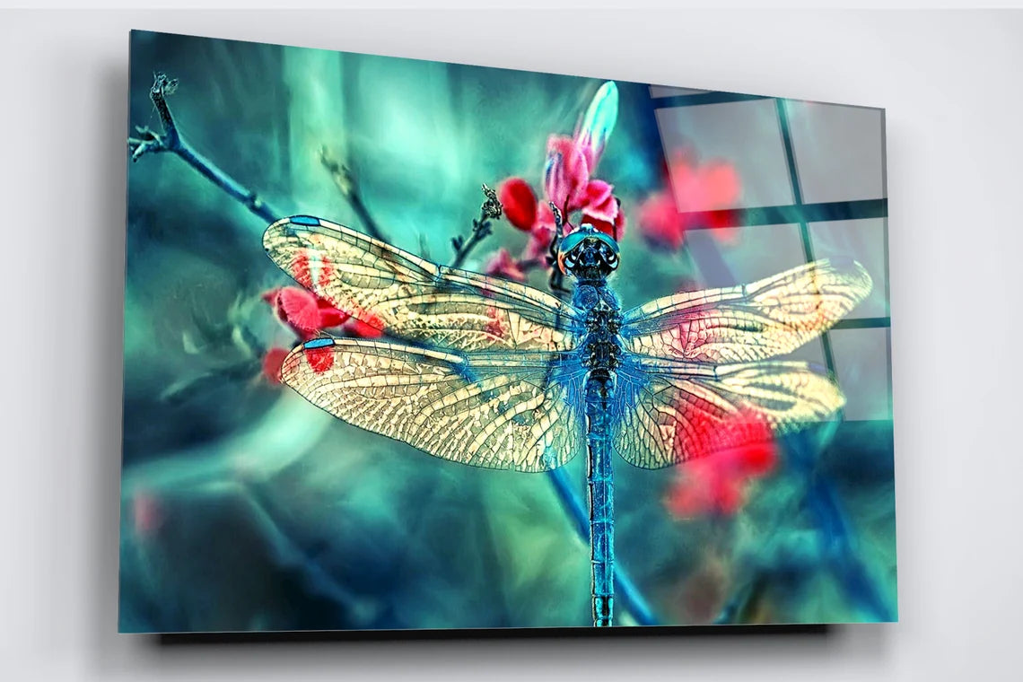 Dragonfly Closeup Acrylic Glass Print Tempered Glass Wall Art 100% Made in Australia Ready to Hang