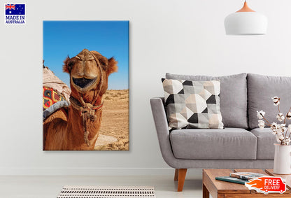 Close-Up Of a Dromedary Camel in The Desert Wall Art Decor 100% Australian Made