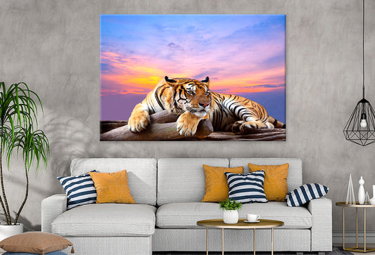 Tiger Beautiful Sky Sunset Time Wall Art Decor 100% Australian Made