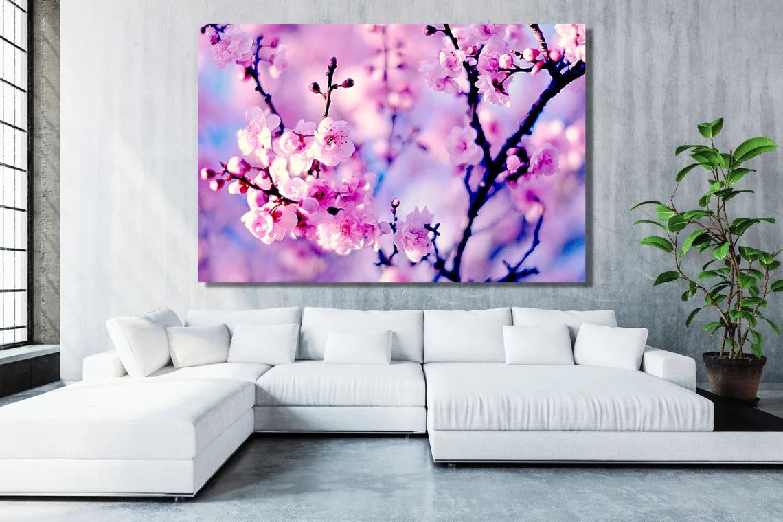 Cherry Blossom Flower UV Direct Aluminum Print Australian Made Quality