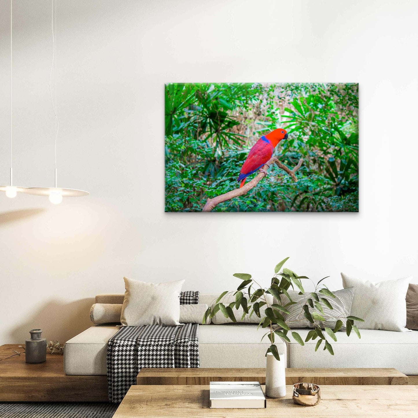A Female Eclectus Parrot Perched Amidst the Lush Rainforests of the Moluccan Islands Australia Wall Art Decor 100% Australian Made