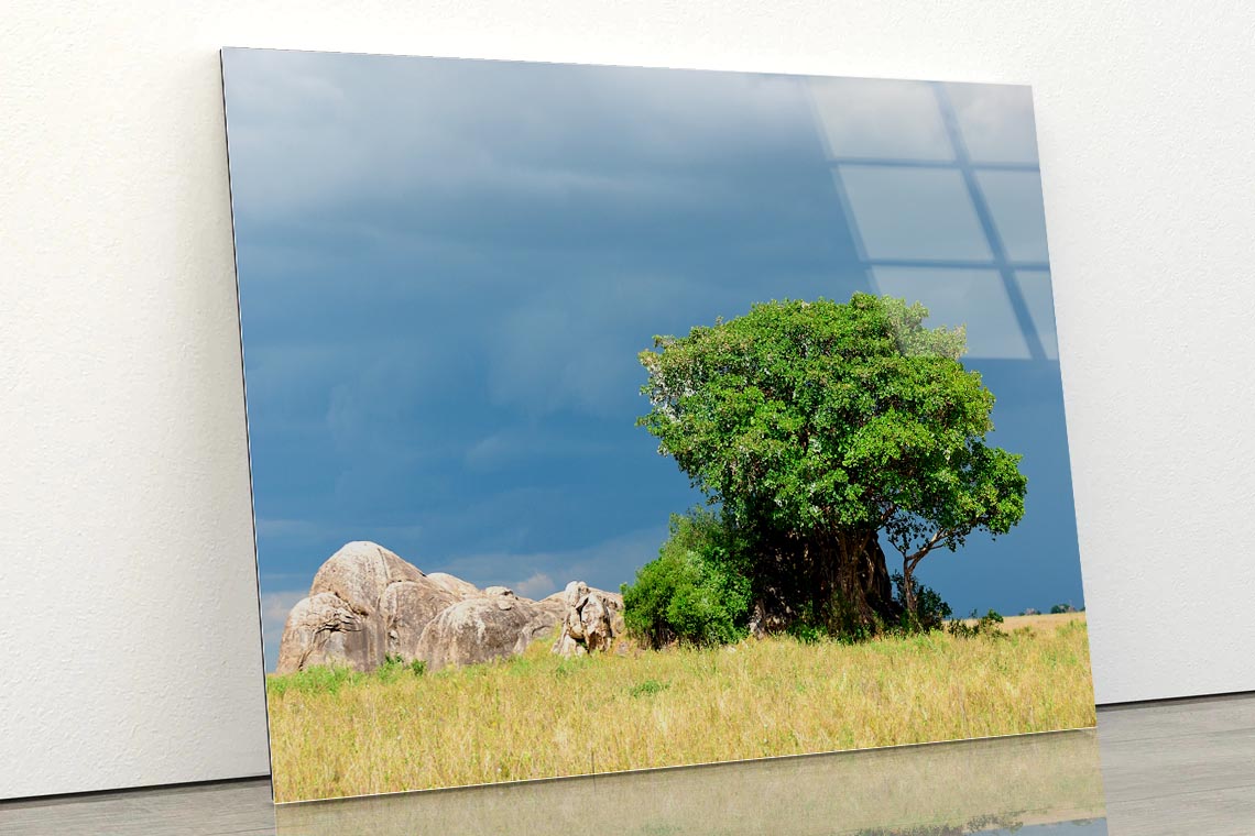 Serengeti National Park Scenery Tanzania Africa Acrylic Glass Print Tempered Glass Wall Art 100% Made in Australia Ready to Hang