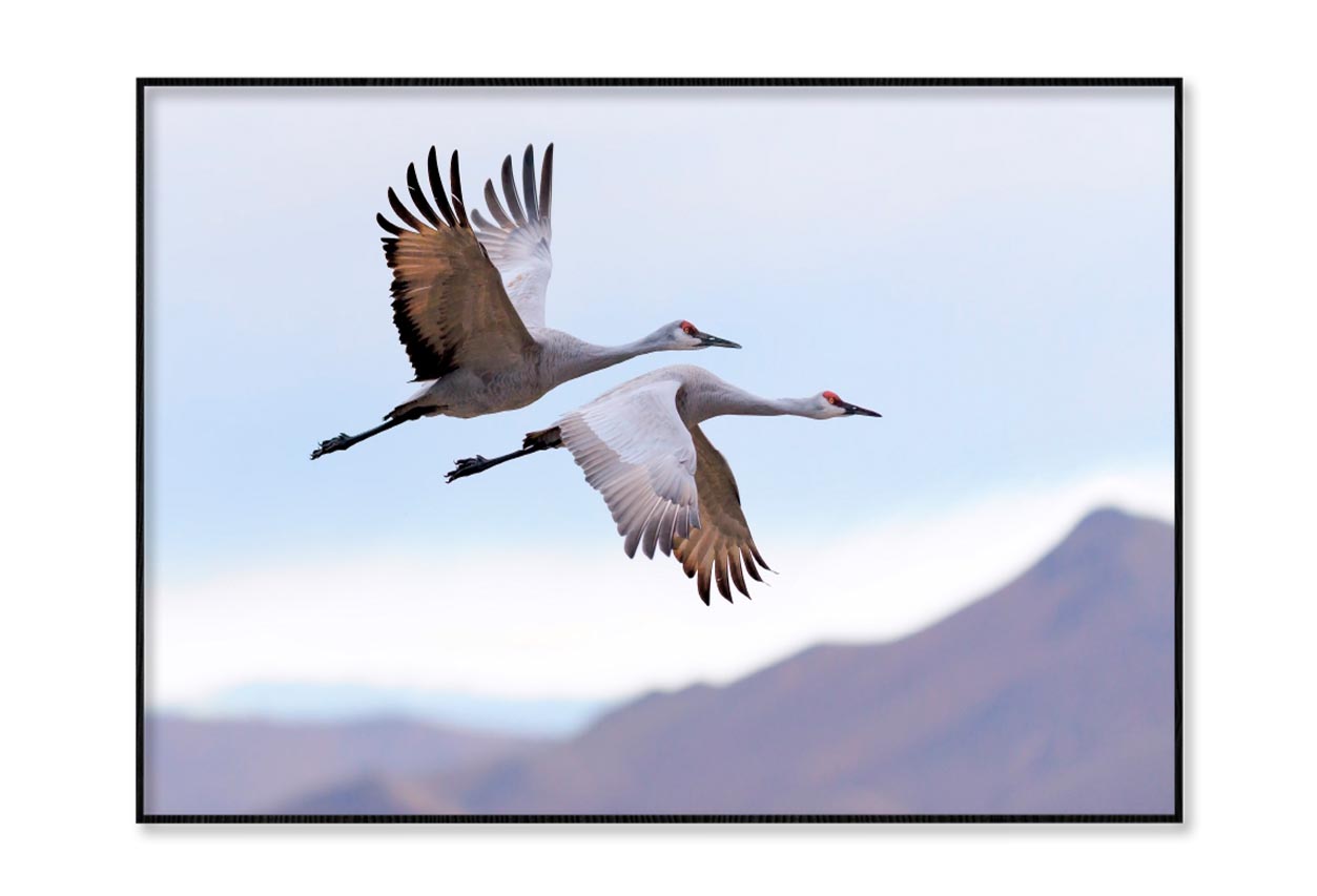 Flying Cranes Mountain Sky View Home Decor Premium Quality Poster Print Choose Your Sizes - Bella Home Decor