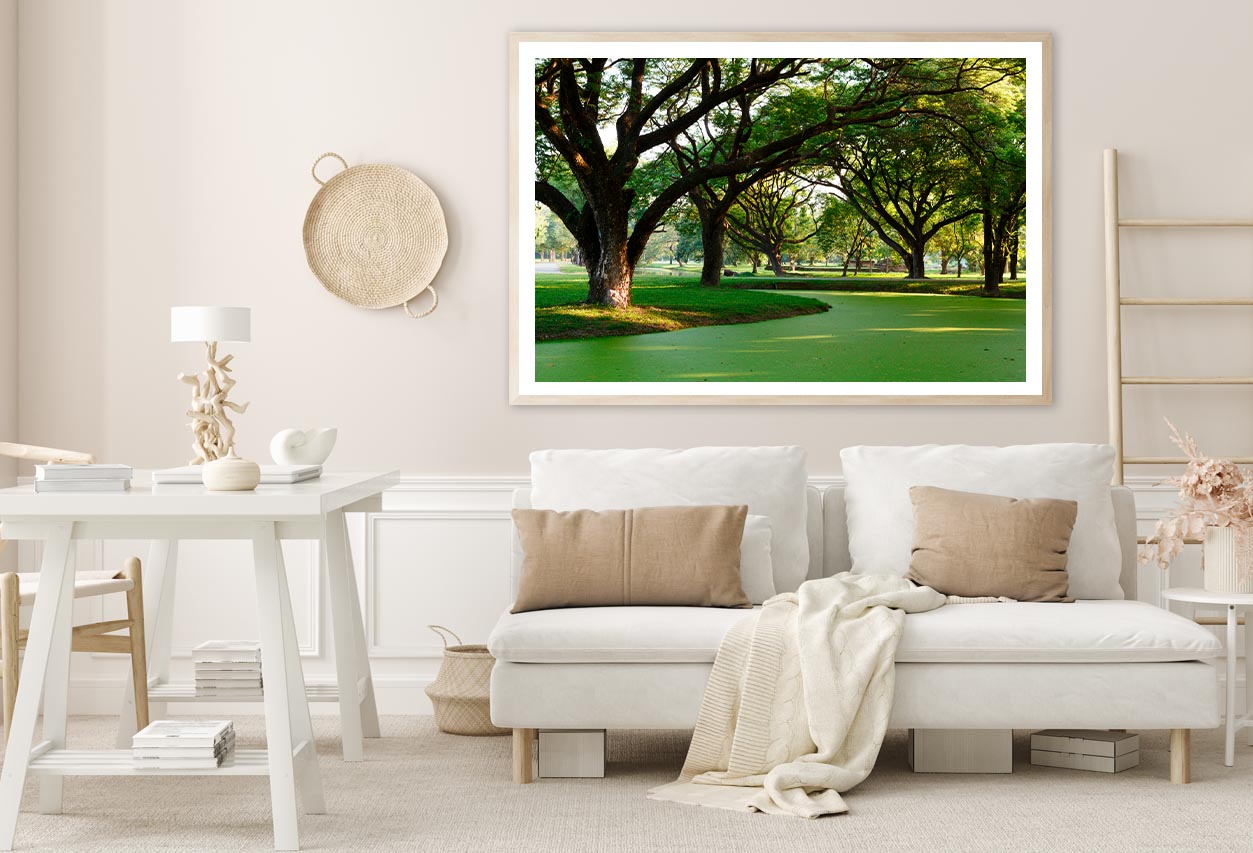 Samanea Saman Big Rain Tree Home Decor Premium Quality Poster Print Choose Your Sizes