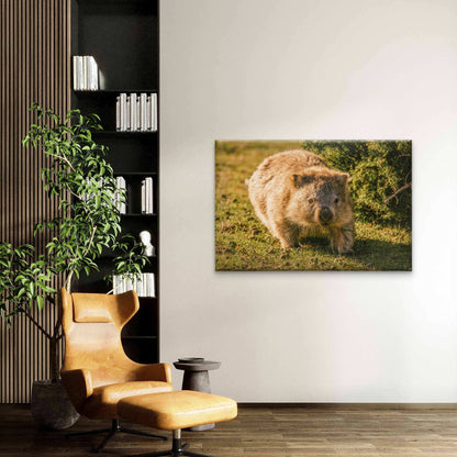 Wombat Maria Island Tasmania Wall Art Decor 100% Australian Made