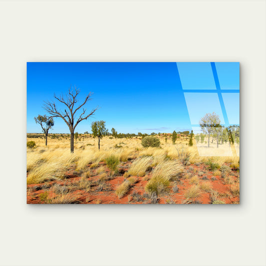 Outback Red Desert Spinifex Grass Acrylic Glass Printing Wall Art Australian Made Quality