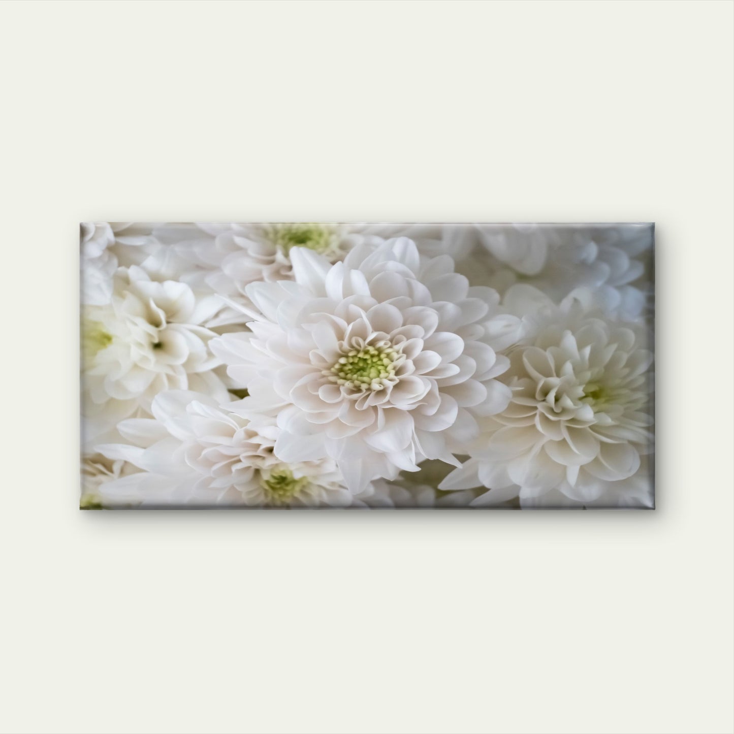 White Petals Softly Gathered Wall Art Canvas Office Home Room Framed 120x60cm