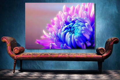 Chrysanthemum Flower UV Direct Aluminum Print Australian Made Quality