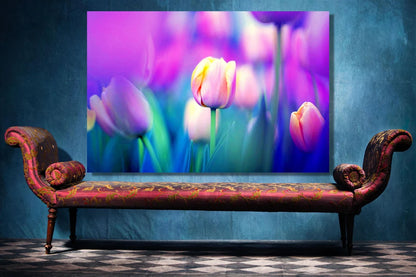 Tulip Flower UV Direct Aluminum Print Australian Made Quality