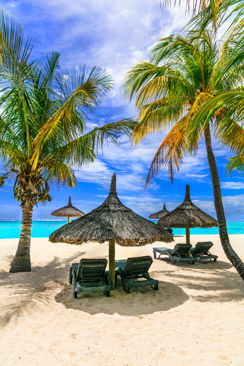 Tropical Palms & Beach Hut at Mauritius Photograph Glass Framed Wall Art, Ready to Hang Quality Print