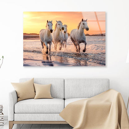 White Horses Running Through the Water at Sunset Acrylic Glass Print Tempered Glass Wall Art 100% Made in Australia Ready to Hang - Bella Home Decor