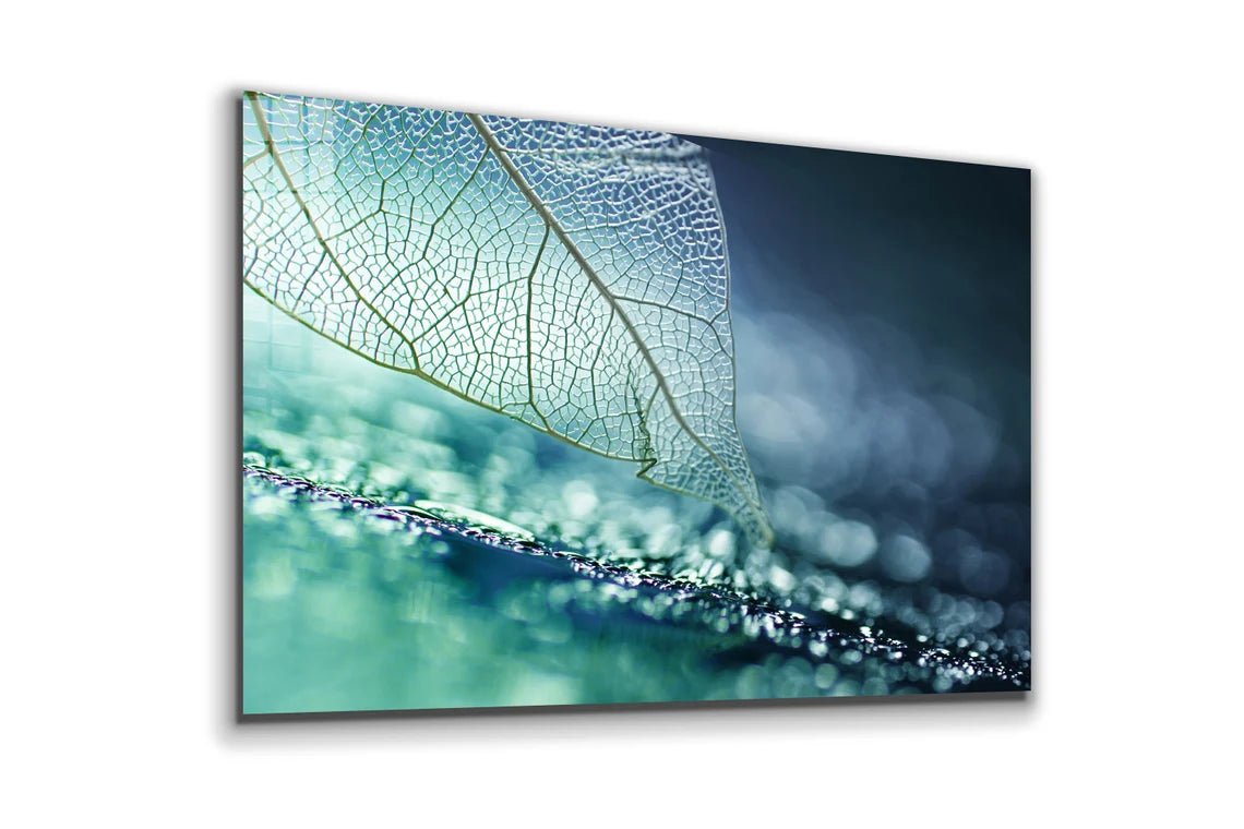 Blue Xray Leaf Digital UV Direct Aluminum Print Australian Made Quality