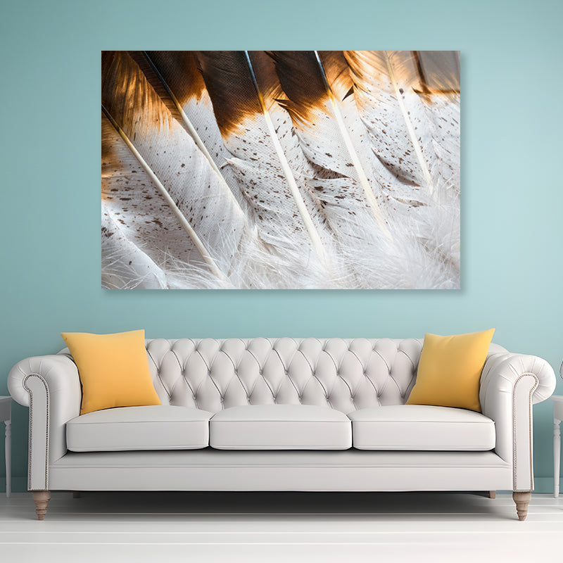 Bunch of White and Brown Feathers Acrylic Glass Print Tempered Glass Wall Art 100% Made in Australia Ready to Hang - Bella Home Decor
