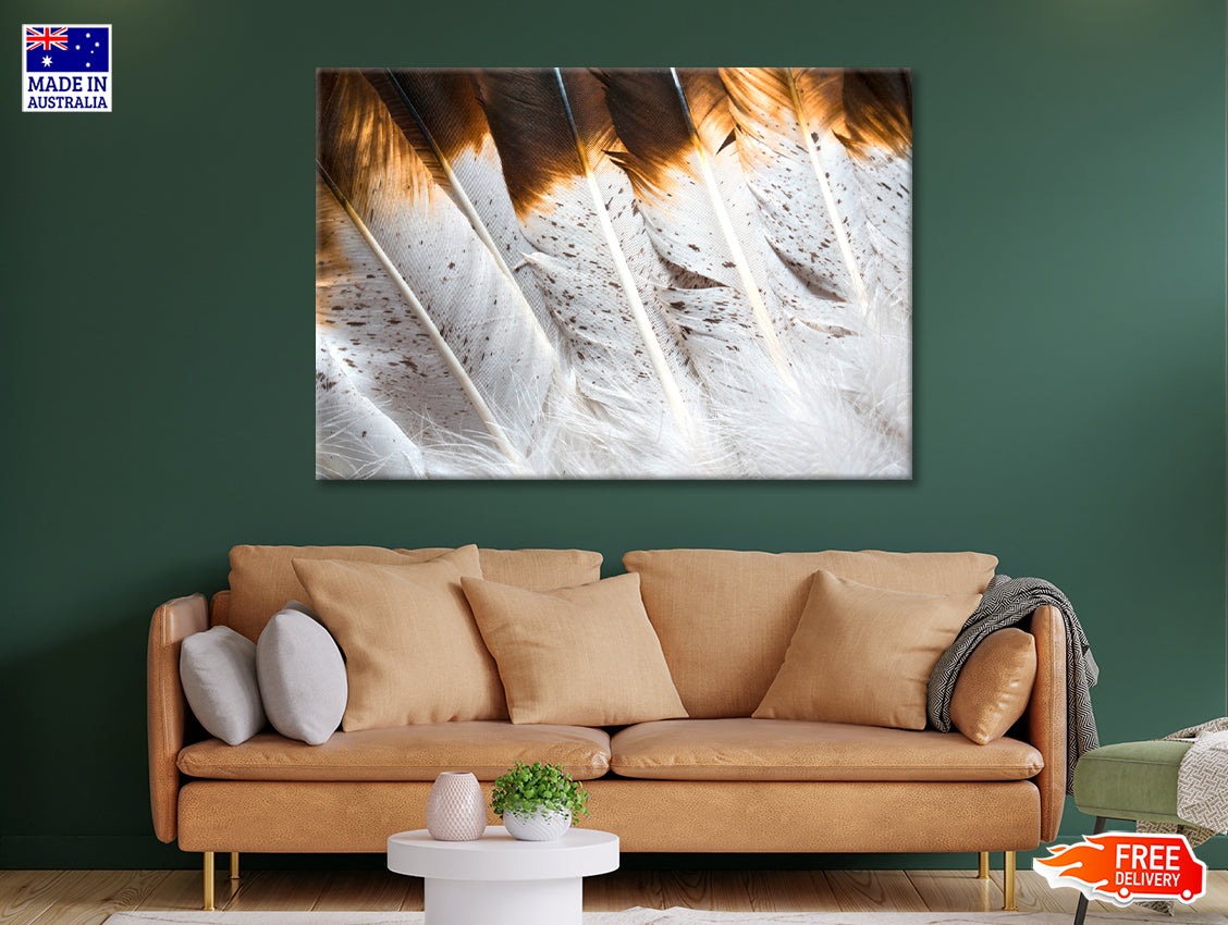 Bunch of White and Brown Feathers Print 100% Australian Made - Bella Home Decor