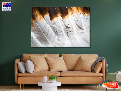 Bunch of White and Brown Feathers Print 100% Australian Made - Bella Home Decor