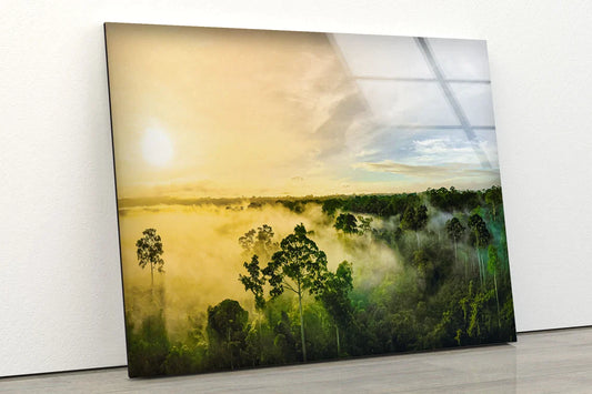 Misty Forest Sky View UV Direct Aluminum Print Australian Made Quality
