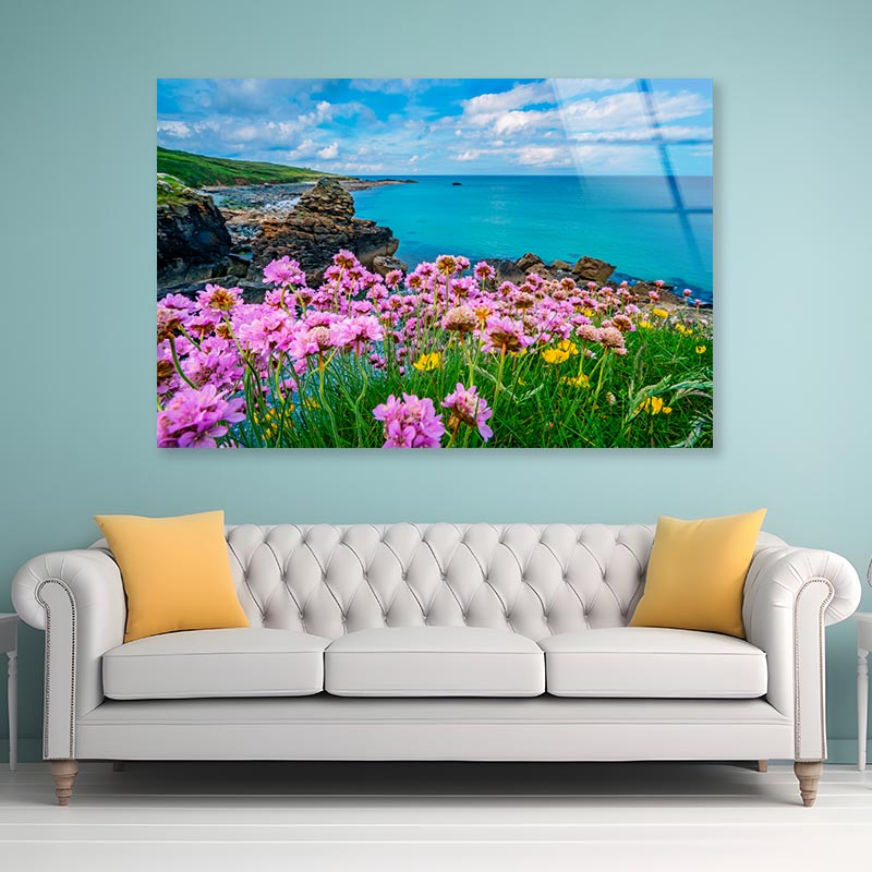 Pink Sea Thrift Flower Acrylic Glass Print Tempered Glass Wall Art 100% Made in Australia Ready to Hang