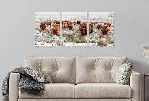 3pcs Highland Cow Herd Vintage Photograph Wall Art Set Canvas Unframed - High Quality Print 100% Australian Made Wall Canvas