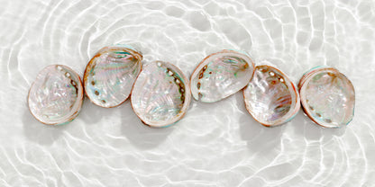 Iridescent Abalone Shells In Water Wall Art Canvas Office Home Room Framed 120x60cm