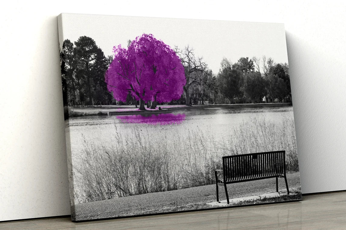 Large Purple tree set in a black and white park UV Direct Aluminum Print Australian Made Quality