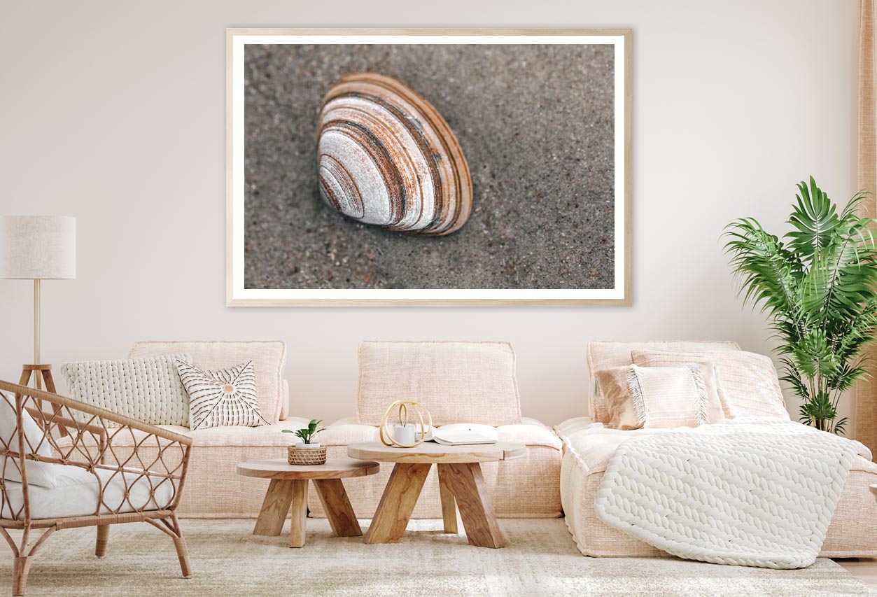 Close-Up Of Shell in The Sand on The Beach Home Decor Premium Quality Poster Print Choose Your Sizes - Bella Home Decor