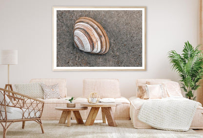 Close-Up Of Shell in The Sand on The Beach Home Decor Premium Quality Poster Print Choose Your Sizes - Bella Home Decor