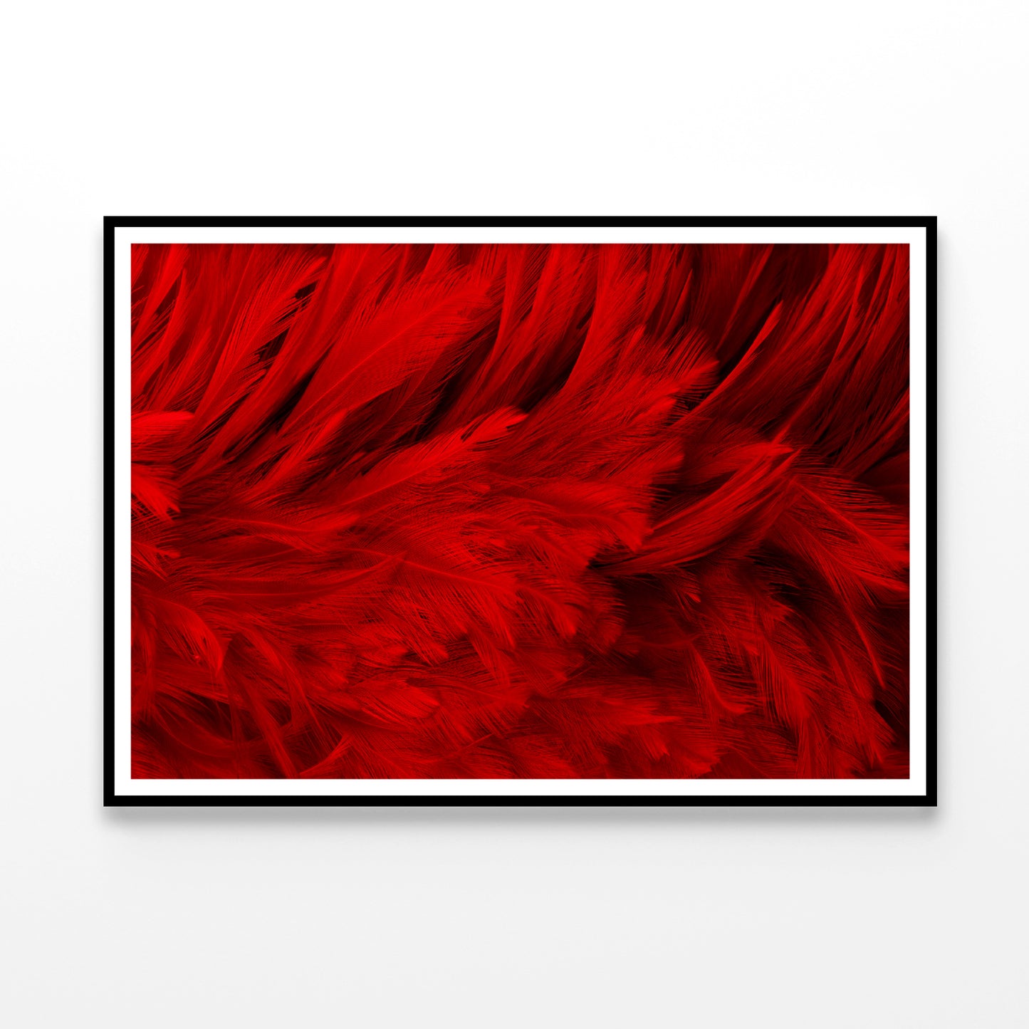 Dark Red Feathers in Close-Up Home Decor Premium Quality Poster Print Choose Your Sizes