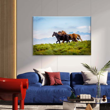 Wild American Mustang Horses on High Ridge Wall Art Decor 100% Australian Made