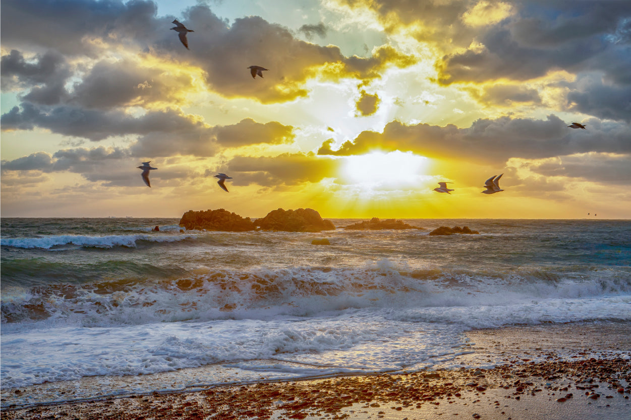 Beautiful sunrise at Tomb of King Munmu, South Korea  Wall Art Decor 100% Australian Made