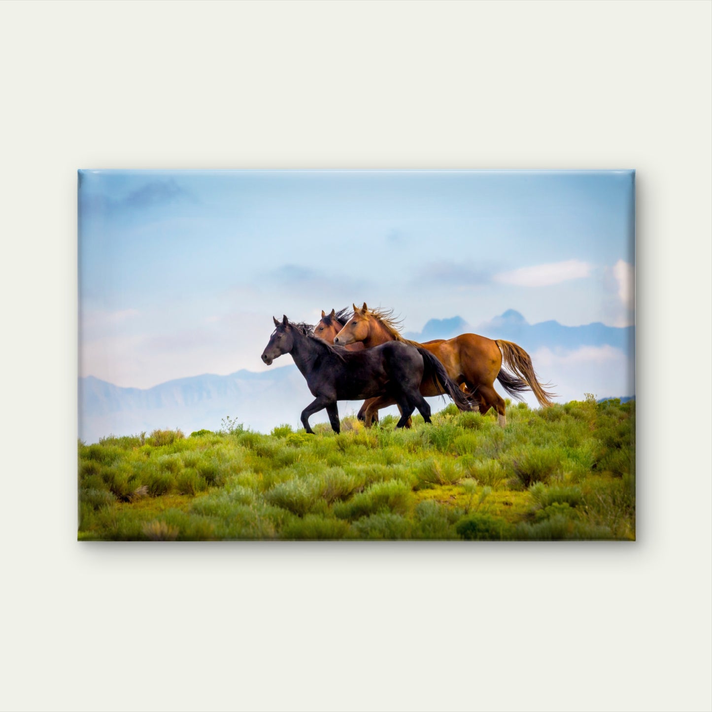 Wild American Mustang Horses on High Ridge Wall Art Decor 100% Australian Made