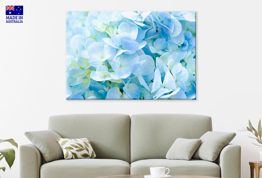 Soft Blue Hydrangea Close-Up Wall Art Decor 100% Australian Made