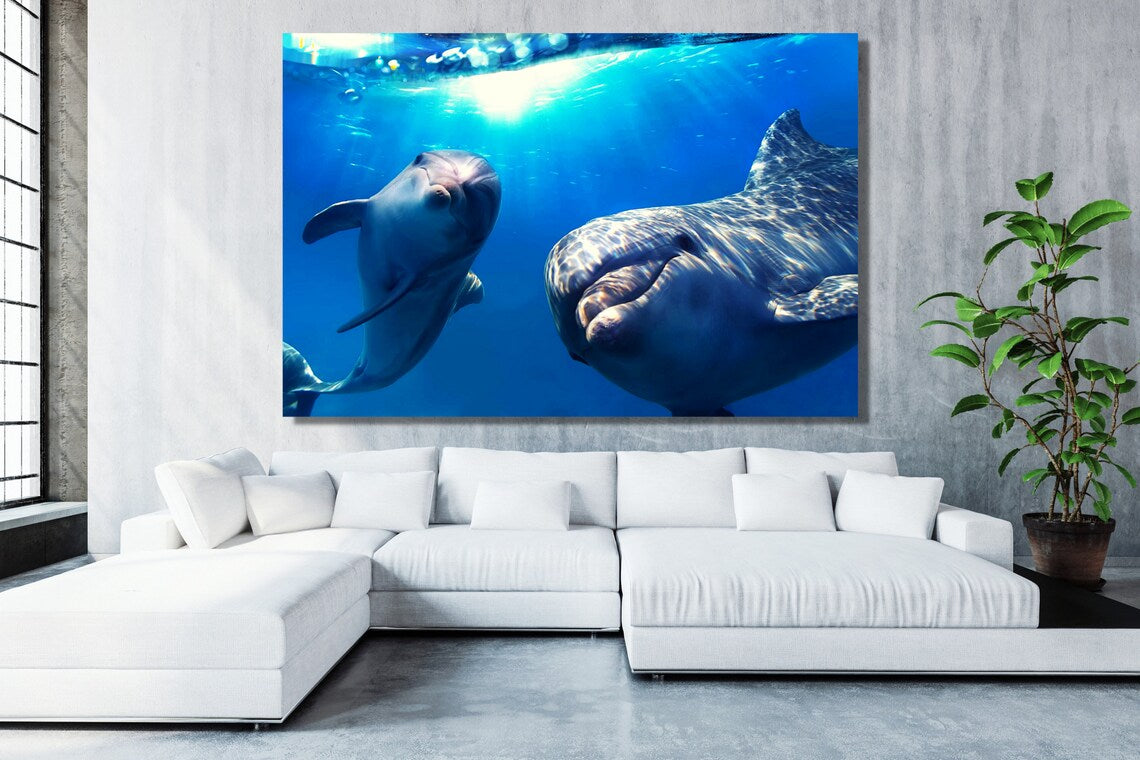 Dolphins In The Ocean Acrylic Glass Print Tempered Glass Wall Art 100% Made in Australia Ready to Hang