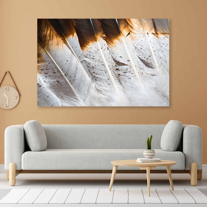 Bunch of White and Brown Feathers Acrylic Glass Print Tempered Glass Wall Art 100% Made in Australia Ready to Hang - Bella Home Decor