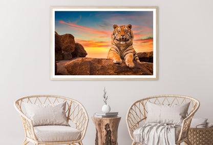 Solitary Adult Bengal Tiger Home Decor Premium Quality Poster Print Choose Your Sizes - Bella Home Decor