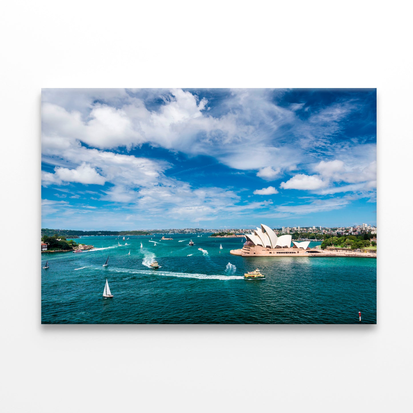 Sydney Cityscape and Yachts in Harbour Wall Art Decor 100% Australian Made