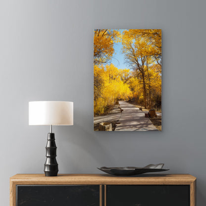 Golden Autumn Forest Path China 40x60cm Metal Print Ready to Hang