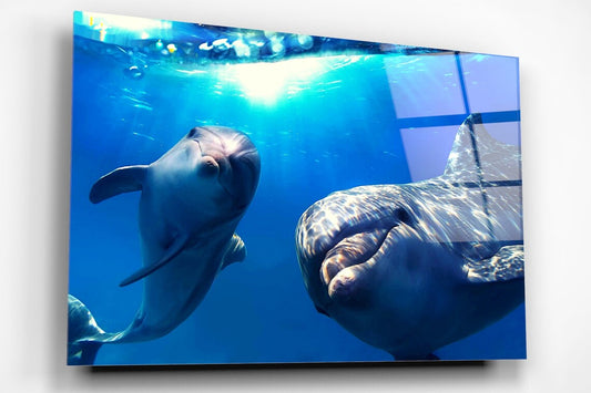 Dolphins In The Ocean Acrylic Glass Print Tempered Glass Wall Art 100% Made in Australia Ready to Hang