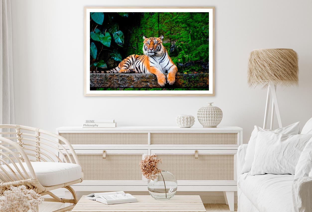 Beautiful Bengal Tiger with Lush Green Habitat Background Home Decor Premium Quality Poster Print Choose Your Sizes