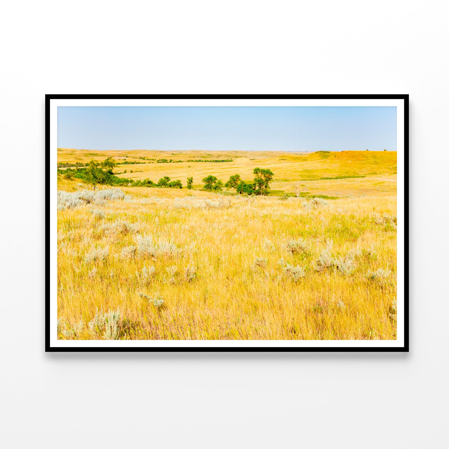 Missouri National Grassland in North Dakota Home Decor Premium Quality Poster Print Choose Your Sizes