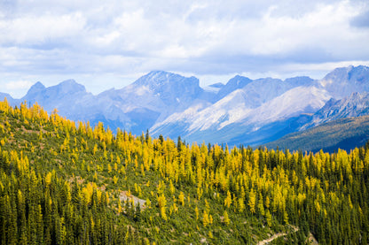 Yellow Leaves Mountain In Autumn Glass Framed Wall Art, Ready to Hang Quality Print