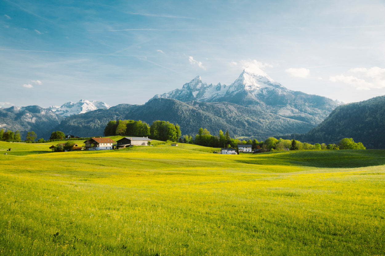 A Field Of Grass in the Foreground and Mountains Home Decor Premium Quality Poster Print Choose Your Sizes