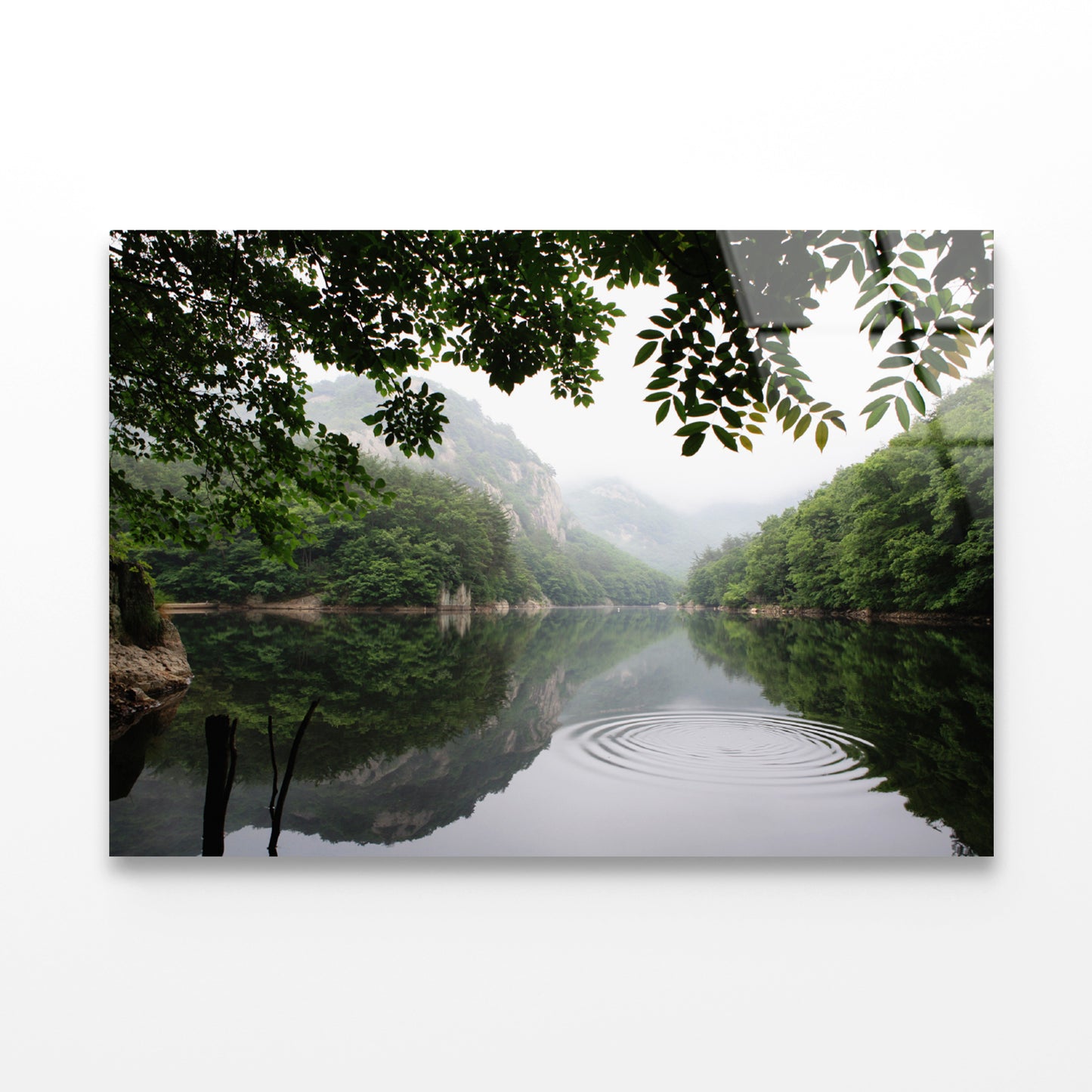 Lake in the Forest Surrounded By Trees Acrylic Glass Print Tempered Glass Wall Art 100% Made in Australia Ready to Hang