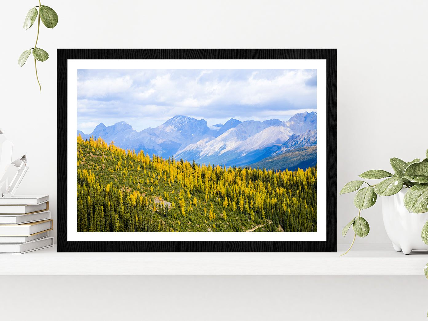 Yellow Leaves Mountain In Autumn Glass Framed Wall Art, Ready to Hang Quality Print With White Border Black