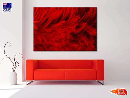 Dark Red Feathers in Close-Up Print 100% Australian Made - Bella Home Decor